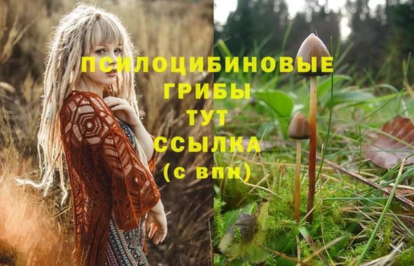 марки nbome Алзамай